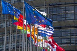 Европейские лидеры сделали совместное заявление о мире для Украины: детали