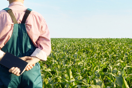 Поддержка фермеров и разминирования: АПК получит больше средств в 2026 году