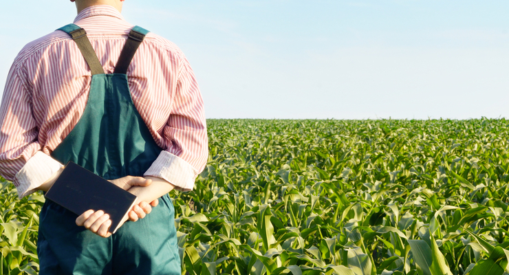 Ілюстративне фото / depositphotos.com