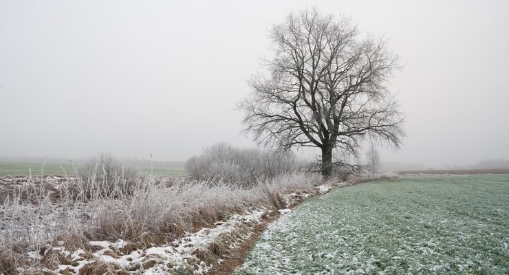 Иллюстративное фото / depositphotos.com