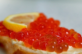 Настоящая икра не бывает дешевой: как не купить подделку перед праздниками