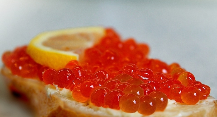 Иллюстративное фото / pixabay.com