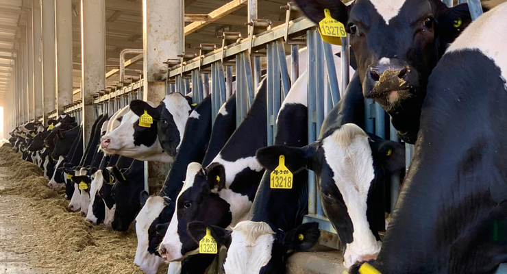 Suvrajit S / unsplash.com