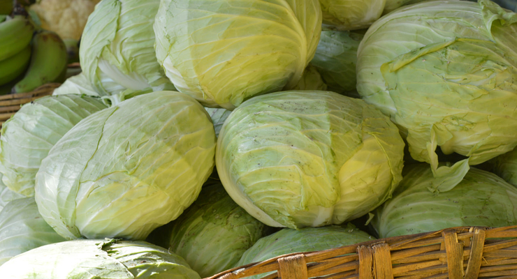 shilpa poonattil  / unsplash.com