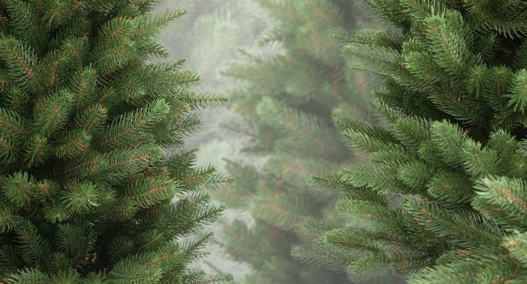 Иллюстративное фото / depositphotos.com