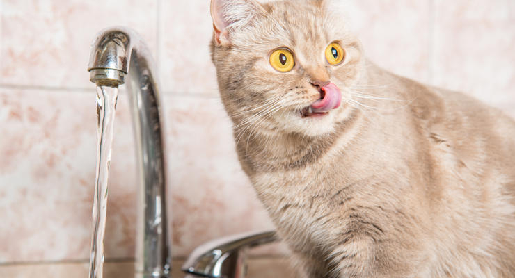 Иллюстративное фото / depositphotos.com