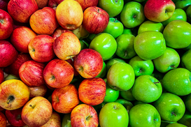 Яблоко, выращенное киевлянином, попало в реестр рекордов Украины: как выглядит