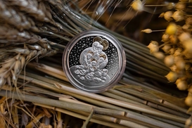 В Украине создали новую монету номиналом 10 грн: что известно