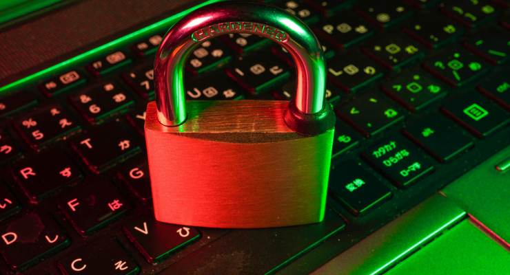 FlyD  / unsplash.com