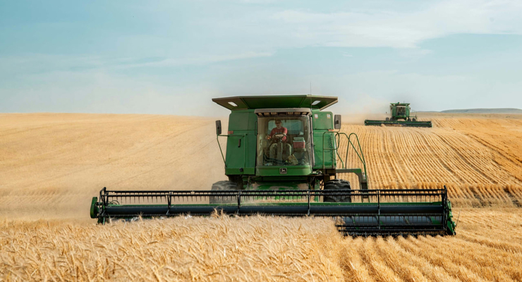 Darla Hueske  / unsplash.com