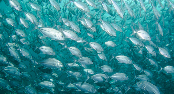 jean wimmerlin  / unsplash.com