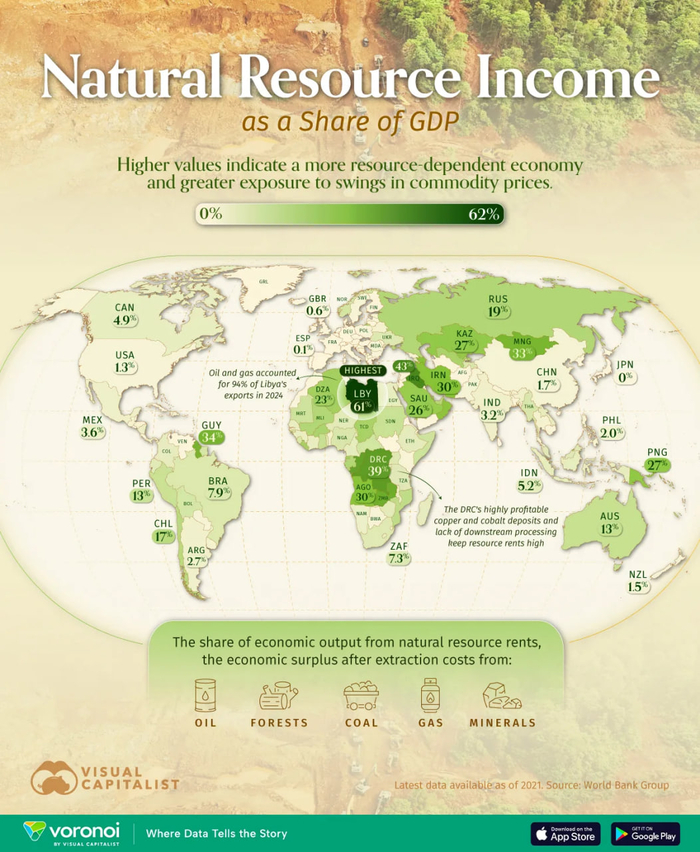 инфографика