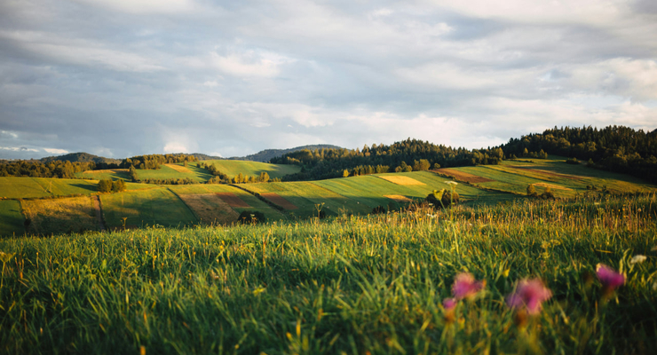 freestocks / unsplash.com