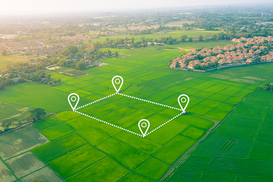 Введена новая форма налоговой декларации по арендной плате за госземли