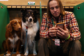 Спам-звонки под контролем: сколько номеров уже заблокировали операторы