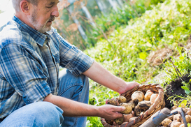 В Украине запускают программу поддержки сельских общин в прифронтовых регионах