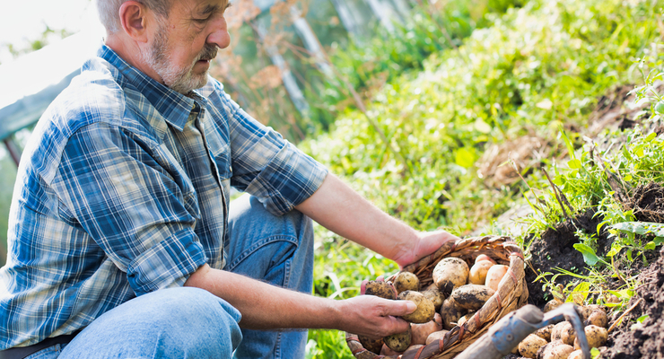 Иллюстративное фото / depositphotos.com