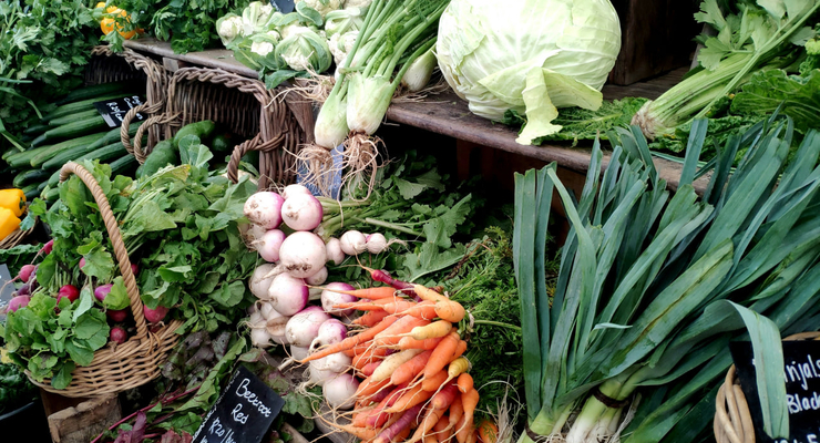 FitNish Media / unsplash.com