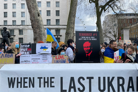 Путин или Зеленский: кого больше поддерживают в странах соседях