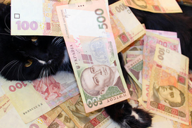 Наличных в Украине стало больше: сколько гривен на руках у населения