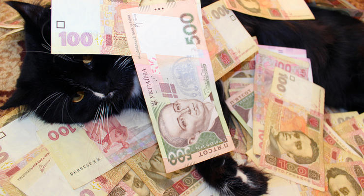 Иллюстративное фото / depositphotos.com