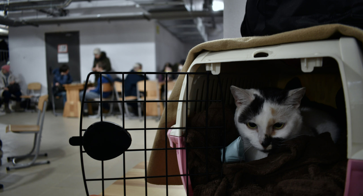 Oleksandr Chernobai / unsplash.com