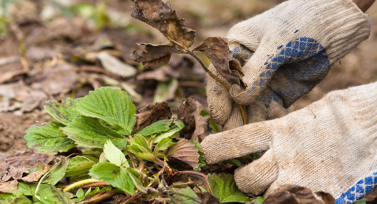 Иллюстративное фото / depositphotos.com