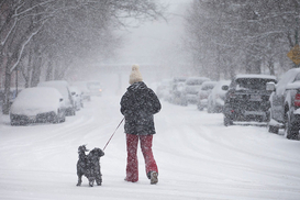 Снег, дождь и гололед: что ждать украинцам от погоды 26 января