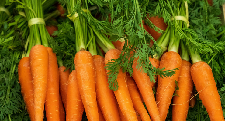 Nick Fewings  / unsplash.com