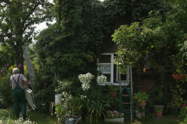 Аграрии получат гранты на сады и теплицы: детали программы