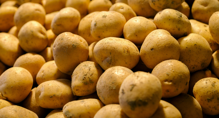 engin akyurt / unsplash.com