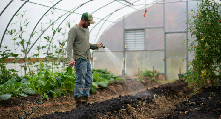 Zoe Richardson  / unsplash.com