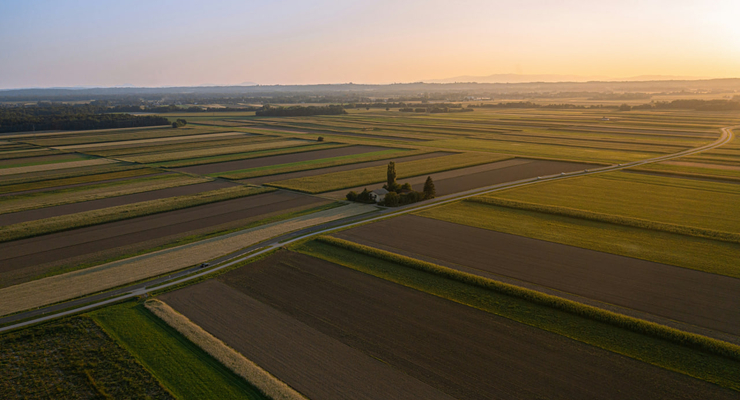 Matic  / unsplash.com