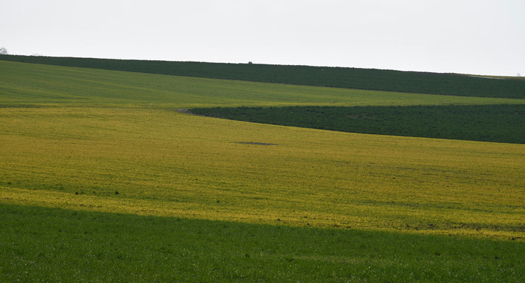 Yoel Winkler / unsplash.com