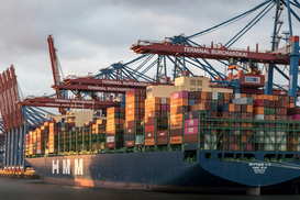 Агроекспорт: підсумки 2025 року та перспективи на цей рік