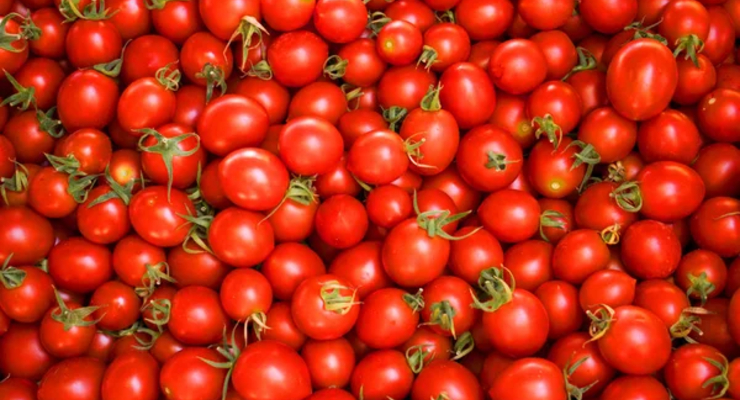 Ілюстративне фото / depositphotos.com