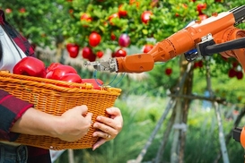 Замість десятків робітників: американські вчені змусять роботів збирати фрукти