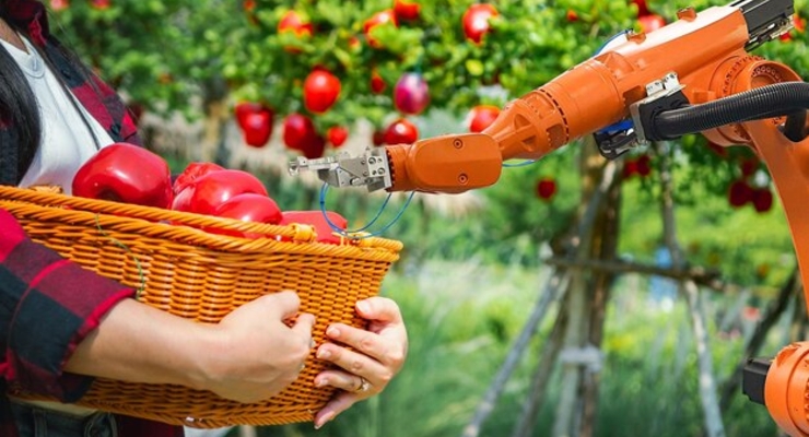 Иллюстративное фото / freepik