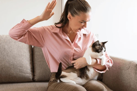 Жорстокість до тварин: у Мін'юсті назвали дії, за які загрожує до 8 років в'язниці