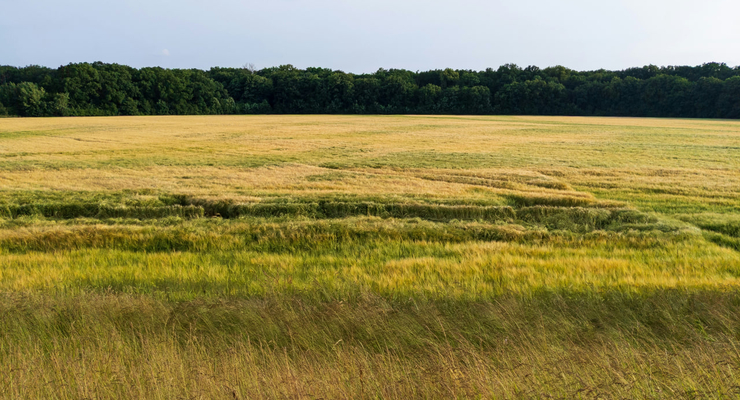 Lukasz Szmigiel  / unsplash.com