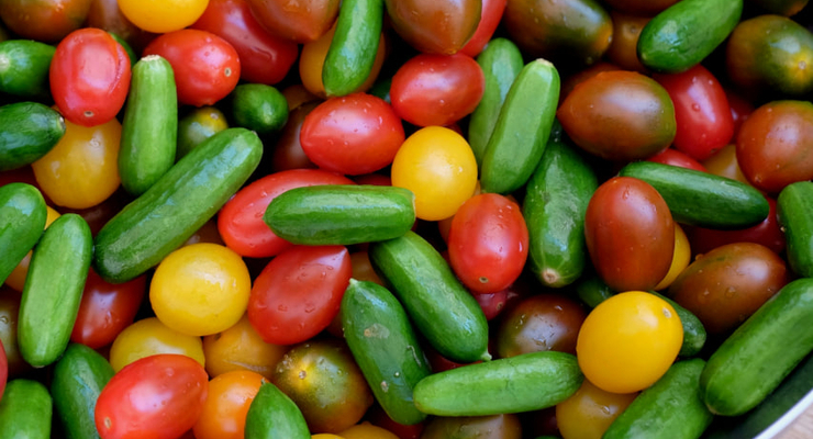 Pinar Kucuk / unsplash.com