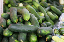 На 20 грн дороже турецких: украинские аграрии начали продажи тепличных огурцов