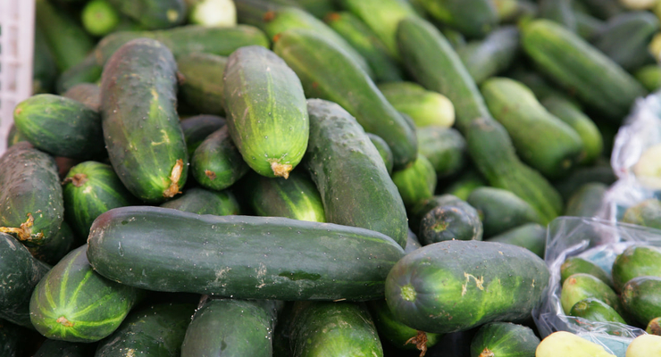 David Trinks / unsplash.com