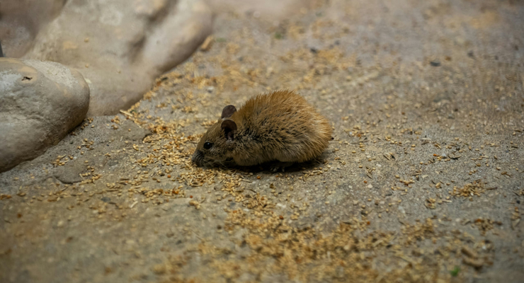 Tarryn Grignet / unsplash.com