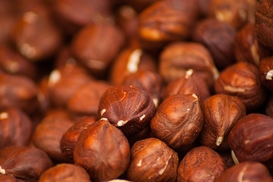 Рекордная прибыльность: Украина может отказаться от импорта популярного ореха