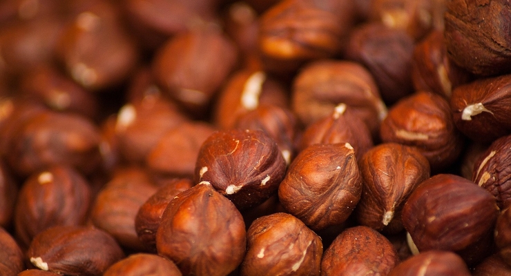 Иллюстративное фото / pixabay.com