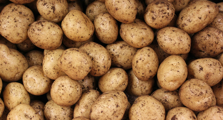  Anthony Camp / unsplash.com