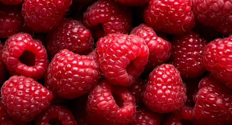 Иллюстративное фото / depositphotos.com