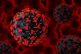 Деякі вбивають майже у 100% випадків: названо найсмертоносніші віруси