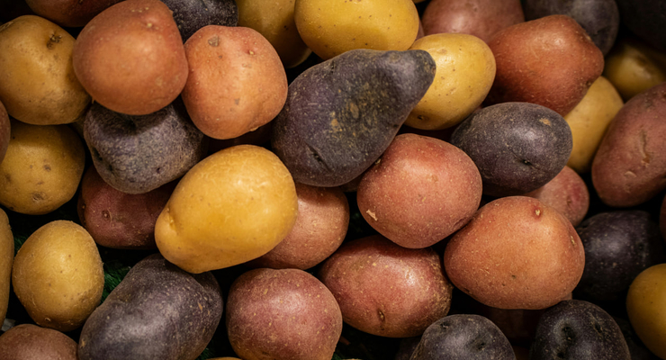 Zoshua Colah / unsplash.com